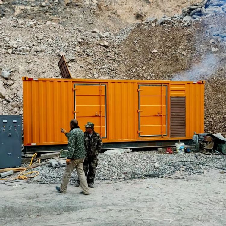 新丰如何选择适合自己的 800KW 柴油发电机组？